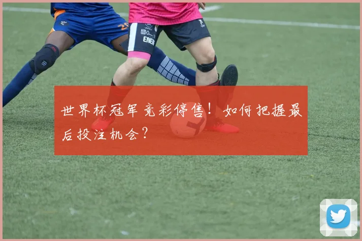 世界杯冠军竞彩停售！如何把握最后投注机会？